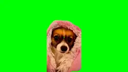 ET Phone Hom