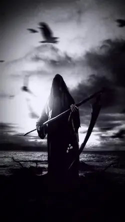 dark side 