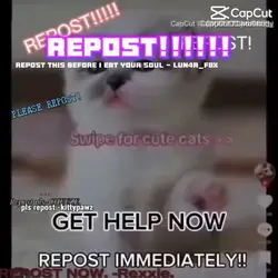 REPOST!!!