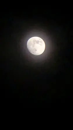 Moon Quotes