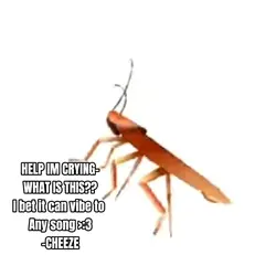A..roach…dancing..😻