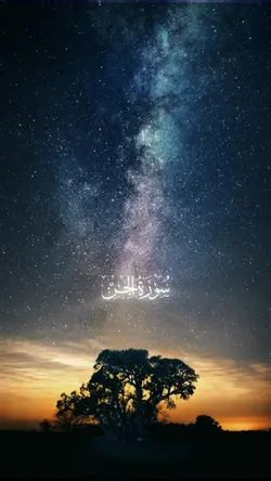 سورة الجن 
