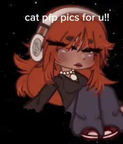 Cat pfp pics for u!