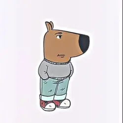 Chill guy 