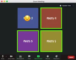 Character Zoom Call