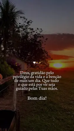Gratidão pela Vida