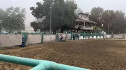 rodeo
