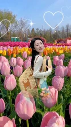 Tulips bloom again