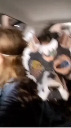 Máscaras e rabos