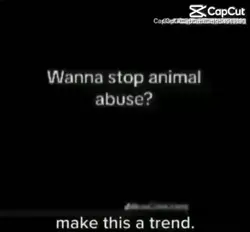 STOP ANIMAL ABUSE!!!