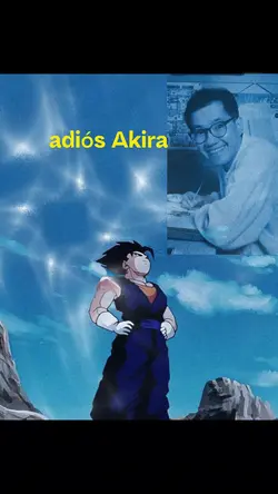 Vuela alto