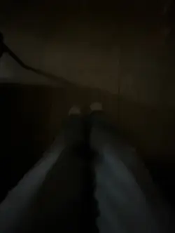 v.