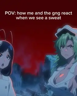pov template
