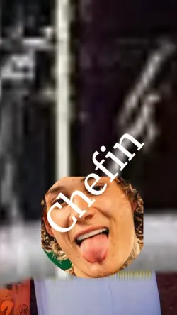 Novo Modelo 