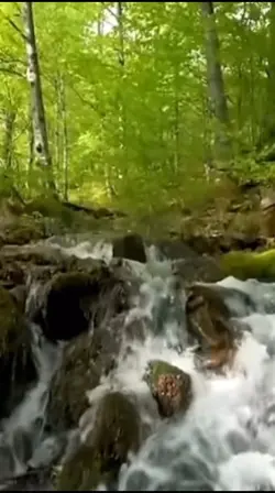 Isn't amazing nature