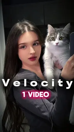 ONE CLIP VELOCITY
