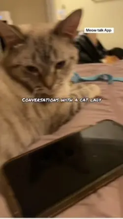 Meow App