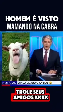 mamando na cabra 