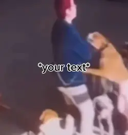 Dog meme