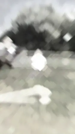 horse velocity