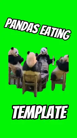 Pandas Eating