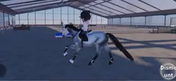 HOUDINI