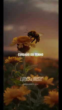 FERROADA - DESTINO 