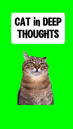CAT is THINKING