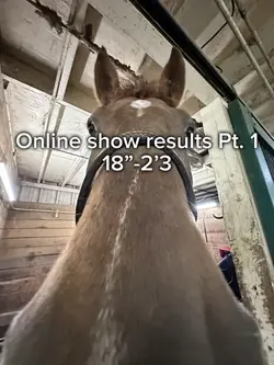 show results Pt. 2