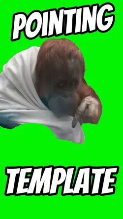 Orangutan Pointing