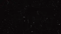 another simple intro