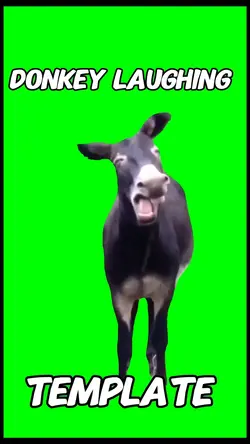 Donley laughing meme