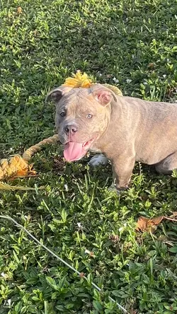 Play time 