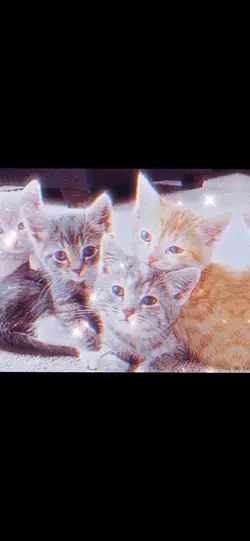 Phone swipe edit♡