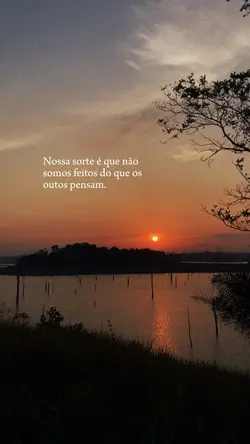 Frases🤍