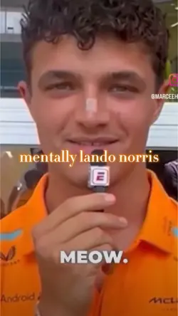 Lando Norris 🥵