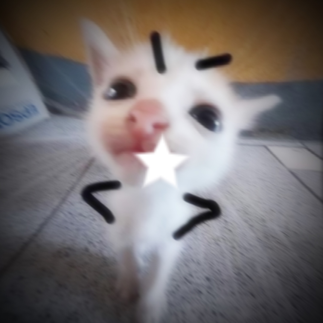 Silly Cat Montage Template - Pippit