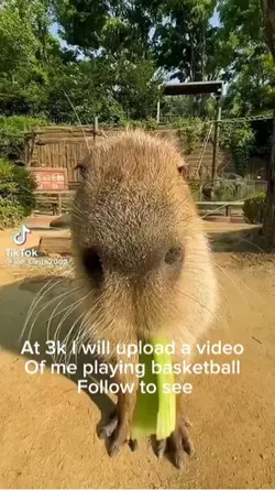 3k??