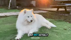 YouTube Template 