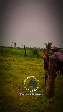 burrão d raça...