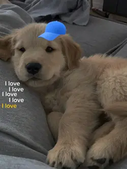 I love