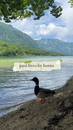 Past lives by borns
