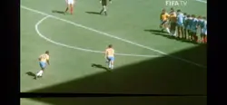 Pele template