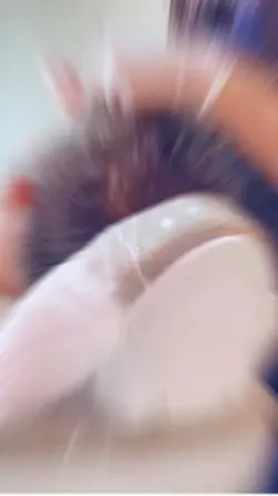Clínica 
