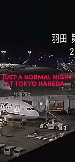 jal516