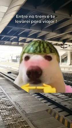 meme do trem 