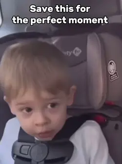 Baby Bullcrap