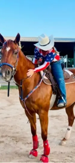 Most beautiful horse