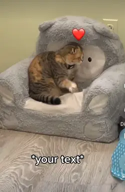 Stuck cat 