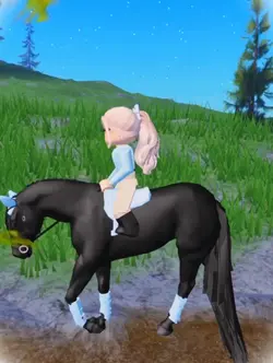 Friesians 🙄